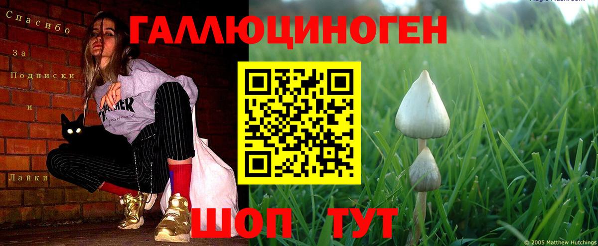 Псилоцибиновые грибы ЛСД Дальнереченск