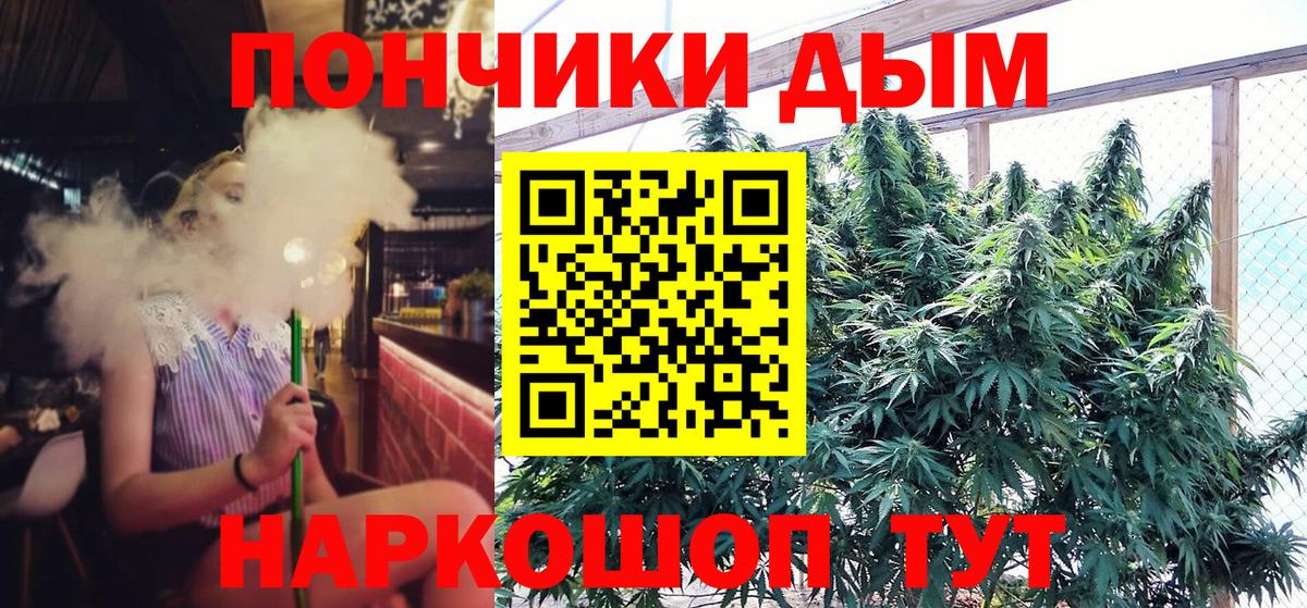 Шишки марихуана сатива Дальнереченск